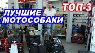 ЛУЧШИЕ МОТОСОБАКИ. ТОП-3. Что выбрать? Подробный обзор.