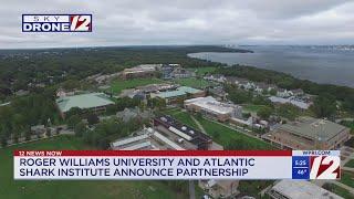 Roger Williams University partners with Atlantic Shark Institute for research opportunities