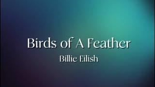 Billie Eilish - Birds of A Feather (Lyrics)