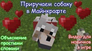 Как приручить собаку в Майнкрафте / Minecraft PE?