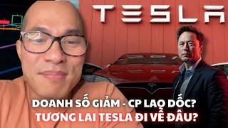 Doanh số giảm - cổ phiếu lao dốc, tương lai Tesla đi về đâu?