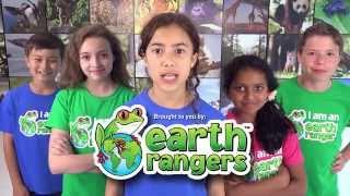 Take Action to Save Animals with Earth Rangers