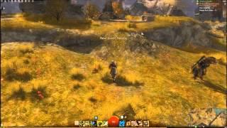 GW2 Ranger Pet Locations - Hyena