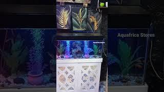 3Feet size Complete setup Aquarium with accessories.              Reach us 0717687099.