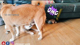 so she was playing when she....uhm....