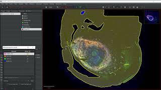 Tissue and nuclei segmentations