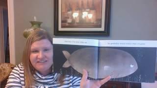 This Is Not My Hat read aloud by Miss Phelan