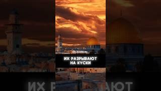 Билял Асад Палестинцы | Делайте дуа за Палестинцев #напоминание