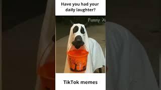 TikTok memes and funny clips prt 2 #shorts