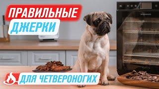  Лакомства для собак своими руками | Сушёное мясо в дегидраторе RAWMID RMD-10