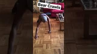 Full body Workout #shorts #noexcuses #longevity #fitness #exercise #ageless #fitover65