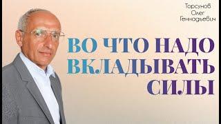 Торсунов О.Г. Во что надо ВКЛАДЫВАТЬ СИЛЫ