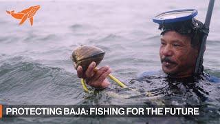 Baja California Sur: Artisanal Fisheries | SonyAlpha The Voyage | SeaLegacy