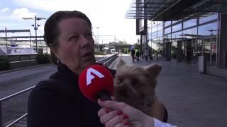 Harri Lindellin hastattelussa Lapsiasiavaltuutettu  Tuomas Kurttila