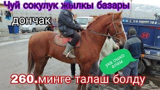 15.Декабрь Дончак талаш болуп ошко сатылды 265 минге Чуй сокулук жылкы базары