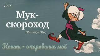 Мук - скороход. Кошки - очарование моё.