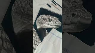 Rate my artwork please #charcoaldrawing #snakedrawing #shorts#shortsfeed2025 #trending#viral #art