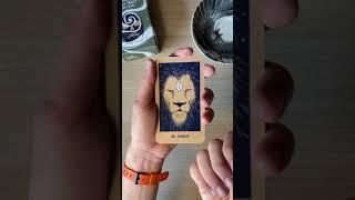 Walk through the Major Arcana - Transient Light Tarot Deck