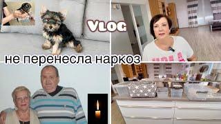 Не уберегли//Накупила боксов//Грустный получился#vlog