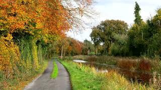 Relaxing sound of Irish country side, windy, canal, autumn. Sleep Meditation Yoga. HQ STEREO NO ADS!