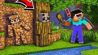 HIDE AND SEEK CHALLENGE IN MINECRAFT *TOATE EPISOADELE*