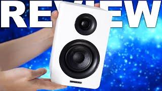 Sanyun SW208 3" Speaker Review