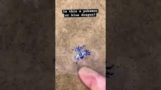 Anyone know what is this?