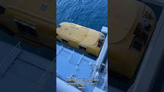Take A Look At The Lifeboats on Royal Caribbean  #cruise