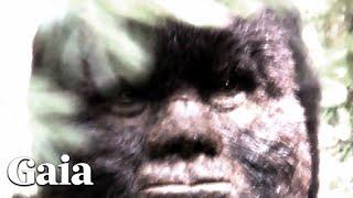 FACE to FACE with SASQUATCH - Filmmaker Spent Decades in the Wild