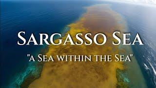 Sargasso Sea: A Floating Landless Wonder - Watch to Believe!