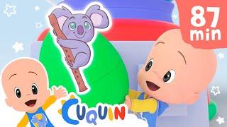 Colorful Egg Machine: learn the animals with Cuquin and more videos | Videos & cartoons for babies