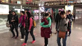 清史网北京考察团 B行程 Trailer