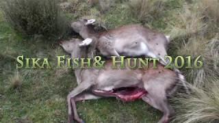 Sika Fish & Hunt 2016