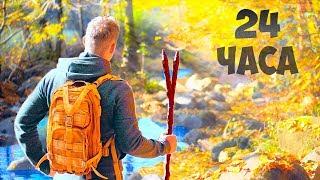 24 HOURS IN THE FOREST-IN SEARCH OF FOOD (SURVIVAL)