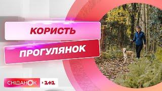 Чем прогулки полезны для здоровья и когда лучше гулять