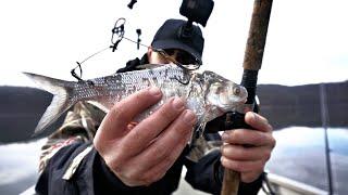 Catching GIANT Winter Muskies in 4K!!!