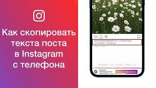 Как скопировать текст поста в Instagram с телефона