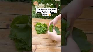 The easiest and best way to store grape leaves!