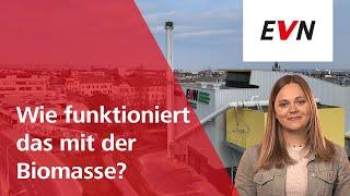 Wie funktioniert das mit der Biomasse? - Energiewissen für di und mi