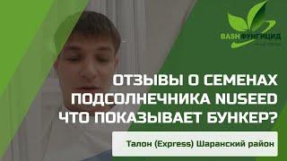 Отзыв по бункеру о подсолнечнике Талон Шаранский район Республики Башкортостан