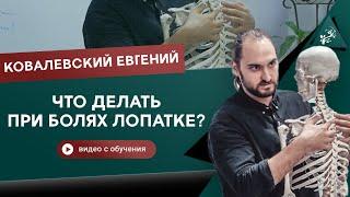 Что делать при болях в лопатке? Анатомия и массаж. Ковалевский Евгений