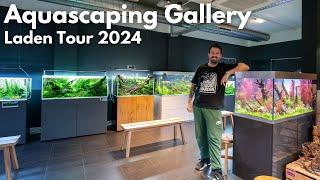 Unser Aquascaping Laden! Liquid Nature Ladentour - November 2024