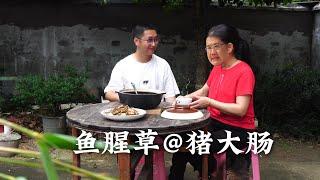 Foraging Wild Houttuynia Cordata  Cooking Pig Intestines! Pranked Mom and Her Reaction Was Hilarious