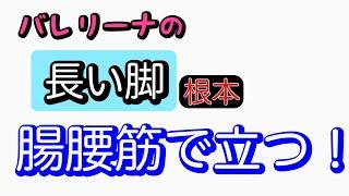 バレリーナの長い脚の秘訣　腸腰筋で立つ！