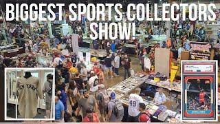 Ultimate Tour of the 2024 National Sports Collectors Convention: Best Sports Memorabilia Showcase