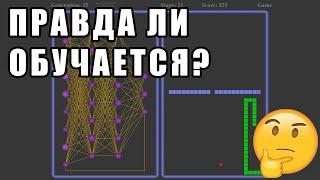 Правда ли нейросеть обучается играть в змейку?