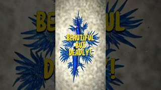 Small But Poisonous Sea Dragon! |Unique Fact #shorts
