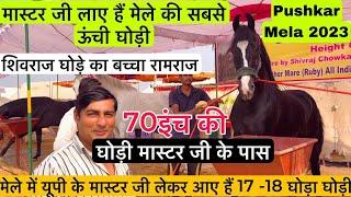 पुष्कर मेले मैं यूपी के मास्टर जी लाए है 70इंच की घोड़ी शिवराज का बच्चा रामराज ! Pushkar Mela 2023