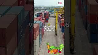  5 Import Export Business Ideas For UK | Best Import Export Business UK #shorts