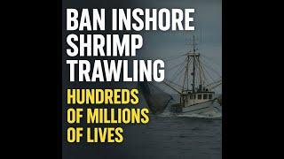 NC Fishing just got REAL: The fight to BAN inshore trawling